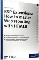 BSP Extensions: How to Master Web Reporting With HTMLB