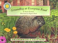 Groundhog at Evergreen Road