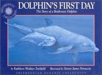 Dolphin's First Day