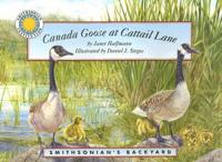 Canada Goose Cattail Lane