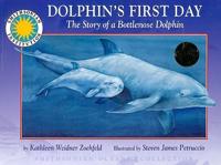 Dolphin's First Day