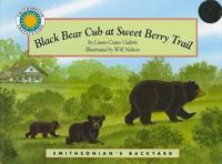 Black Bear Cub at Sweet Berry Trail