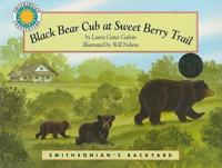 Black Bear Cub at Sweet Berry Trail