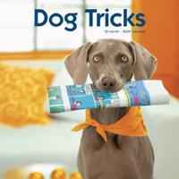 Dog Tricks 2009 Calendar