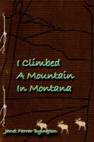 I Climbed a Mountain in Montana
