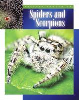 Spiders and Scorpions