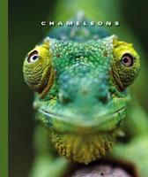 Chameleons