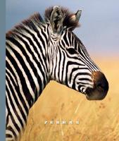 Zebras