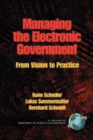 Managing the Electronic Government: From Vision to Practice (PB)
