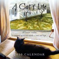 A Cat's Life 2010 Calendar