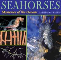 Seahorses and Seadragons