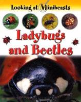 Ladybugs and Beetles