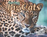 Saving Big Cats 2006 Calendar