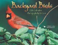 Backyard Birds 2006 Calendar