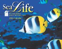 Sea Life 2006 Calendar