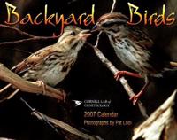 Backyard Birds 2007 Calendar