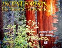 Ancient Forests 2010 Calendar