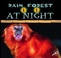 Rain Forest at Night