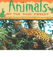 Animals Of The Rain Forest
