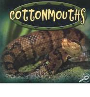 Cottonmouths