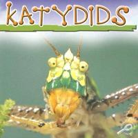 Katydids