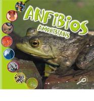 Los anfibios