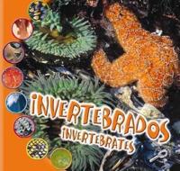 Los Invertebrados