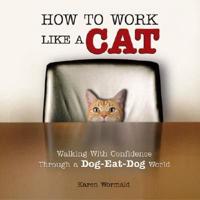 How to Work Like a Cat