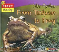 Life Cycles from Tadpole to Frog