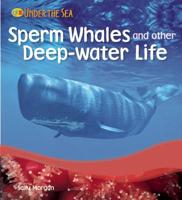 Sperm Whales and Other Deep-Water Life