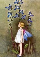 Fairy With Blue Lobelia Greeting Card