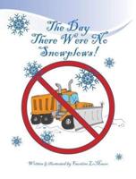 The Day There Were No Snowplows
