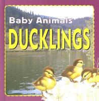 Ducklings