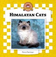 Himalayan Cats