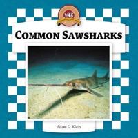 Common Sawsharks