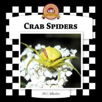 Crab Spiders
