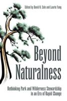 Beyond Naturalness