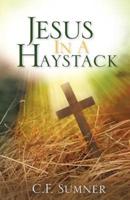 Jesus In A Haystack