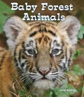 Baby Forest Animals