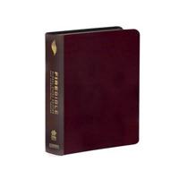 Fire Bible, Global Study Edition