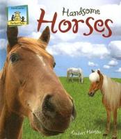 Handsome Horses