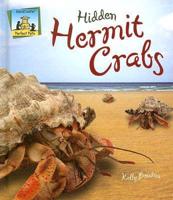 Hidden Hermit Crabs