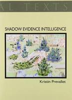 Shadow Evidence Intelligence
