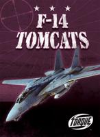 F-14 Tomcats