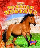 The Spanish Mustang