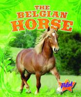 The Belgian Horse