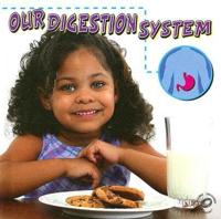 Our Digestion System