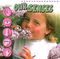 Our Senses