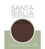 Holy Bible / Santa Biblia