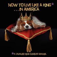 How to Live Like a King.in America